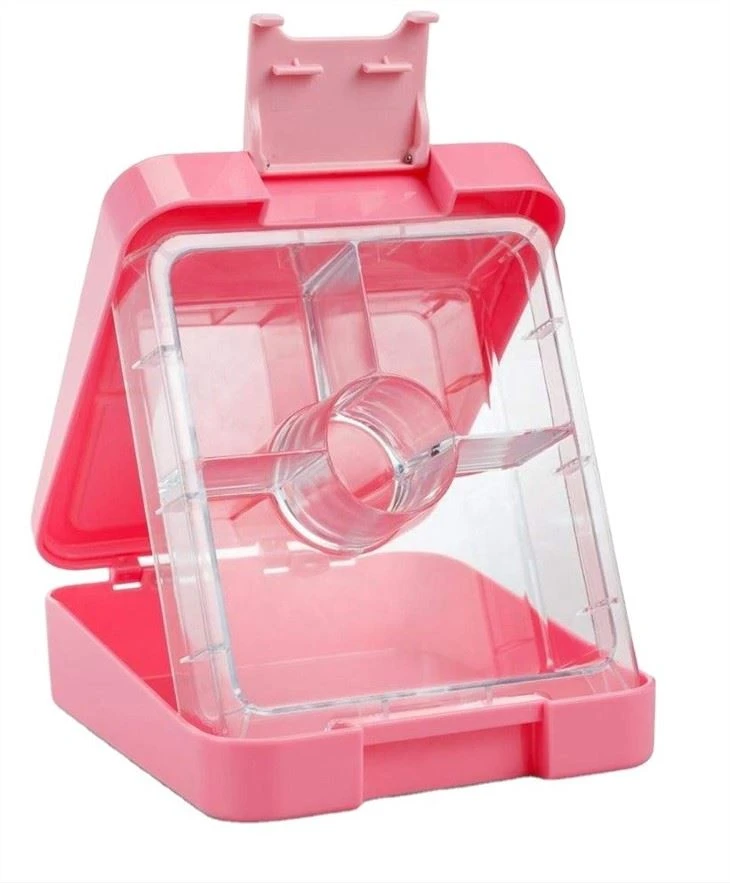 4 Compartment Kids Bento Box